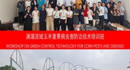 CCTV+: การประชุมเชิงปฏิบัติการด้านเทคโนโลยีควบคุมศัตรูพืชและโรคข้าวโพดด้วยวิธีที่เป็นมิตรต่อสิ่งแวดล้อมในลุ่มแม่น้ำหลานชาง-แม่น้ำโขง ประสบความสำเร็จอย่างงดงาม ณ กรุงฮานอย ประเทศเวียดนาม