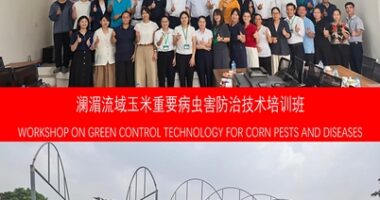 CCTV+: การประชุมเชิงปฏิบัติการด้านเทคโนโลยีควบคุมศัตรูพืชและโรคข้าวโพดด้วยวิธีที่เป็นมิตรต่อสิ่งแวดล้อมในลุ่มแม่น้ำหลานชาง-แม่น้ำโขง ประสบความสำเร็จอย่างงดงาม ณ กรุงฮานอย ประเทศเวียดนาม