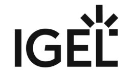 IGEL แต่งตั้ง Randy Resnick ผู้นำด้านแนวคิด Zero Trust ในสหรัฐฯ ขับเคลื่อนกลยุทธ์ IGEL Adaptive Secure Endpoint Platform™
